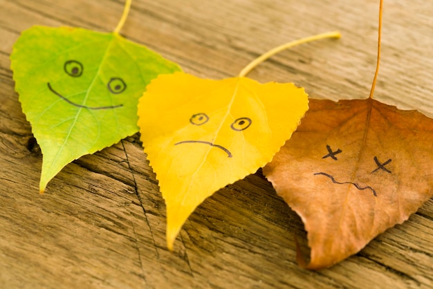 Grüne gelbe und braune Blätter mit einem Bild von glücklichen und traurigen Gesichtern auf dem alten Holzhintergrund mit Rissen
