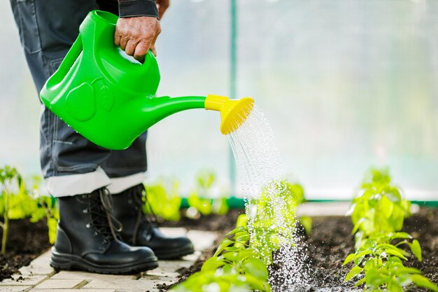 Grüne Gießkanne aus Kunststoff wird zum Gießen verwendet Konzept für Gartenarbeit und Landwirtschaft