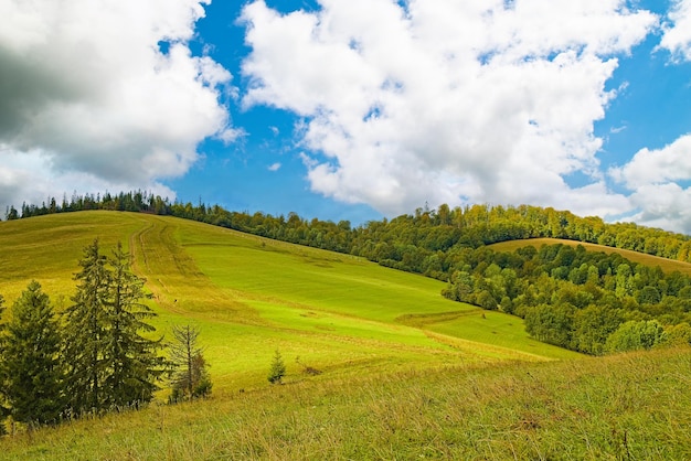 Grüne Hügel mit Feldern und Wäldern an einem warmen Sommertag ist der Himmel blau mit Wolken schöne Landschaft der Karpaten