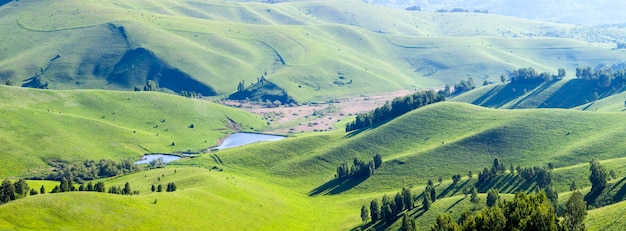 Grüne Hügelwiesen und Bäume Sonnige Sommertaglandschaft Panoramablick