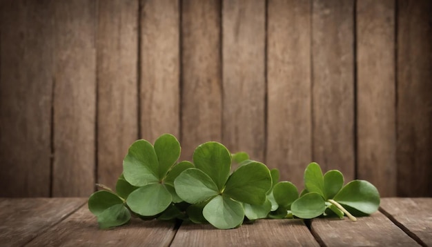 Grüne Kleeblätter auf hölzernem Hintergrund St. Patrick's Day Kopierraum Bierferien