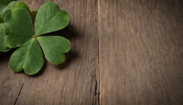 Grüne Kleeblätter auf hölzernem Hintergrund St. Patrick's Day Kopierraum Bierferien