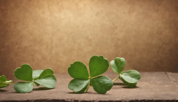 Grüne Kleeblätter auf hölzernem Hintergrund St. Patrick's Day Kopierraum Bierferien