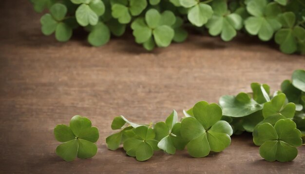 Grüne Kleeblätter auf hölzernem Hintergrund St. Patrick's Day Kopierraum Bierferien