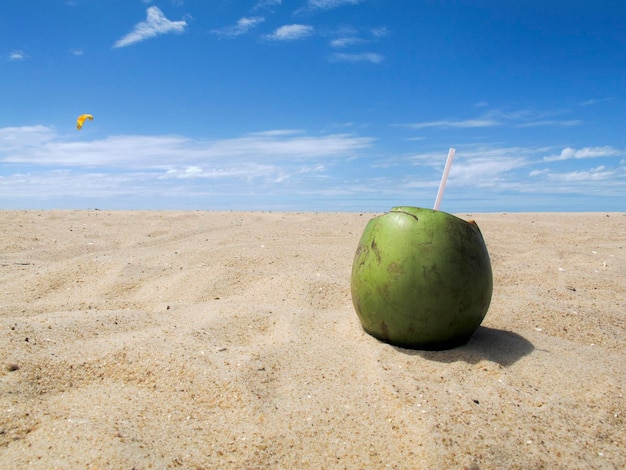 Grüne Kokosnuss am Strand mit blauem Himmel Urlaub