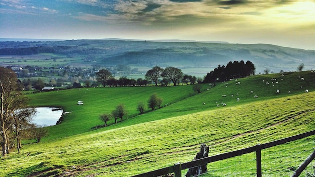 Grüne Landschaft gegen den Himmel