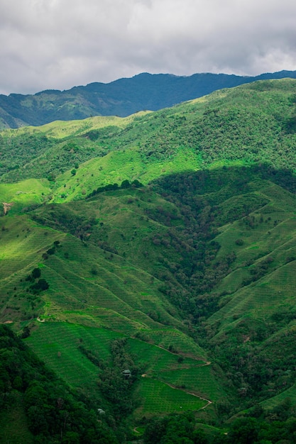 Grüne Landschaft in der Stadt Kolumbien, kolumbianische Berge, Bäume, Sommer, Wanderung