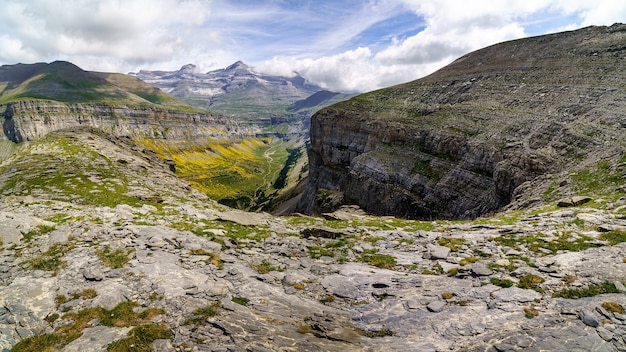 Grüne Landschaft mit hohen Bergen