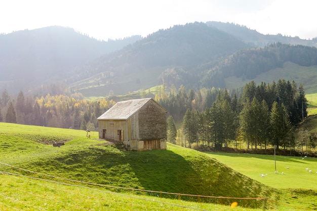 Grüne Landschaftsdorflandschaft am Herbst in der Schweiz