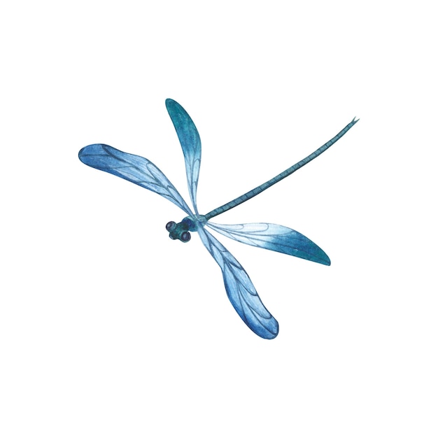 Grüne Libelle mit detaillierten Flügeln isoliert Aquarell handgezeichnete realistische fliegende Insektenillustration für Design