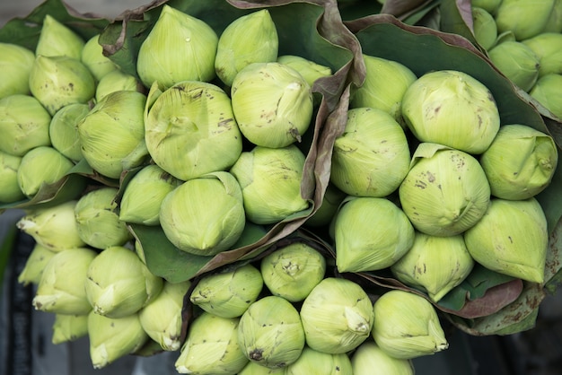 Grüne Lotosblume im Markt für Verkauf