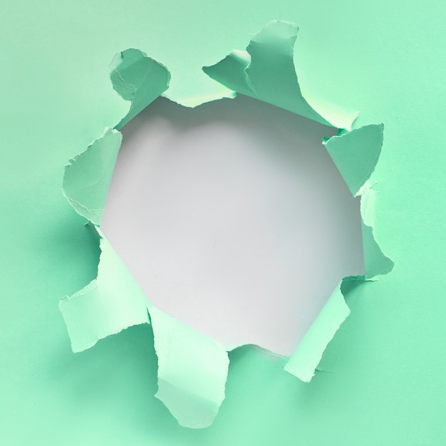 Foto grüne minze und weißes papier flach lagen mit zerrissenem loch, textraum