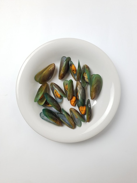 Grüne Muschel auf einem Teller isoliert auf weißem Hintergrund Frische neuseeländische Muschel oder Perna Canali