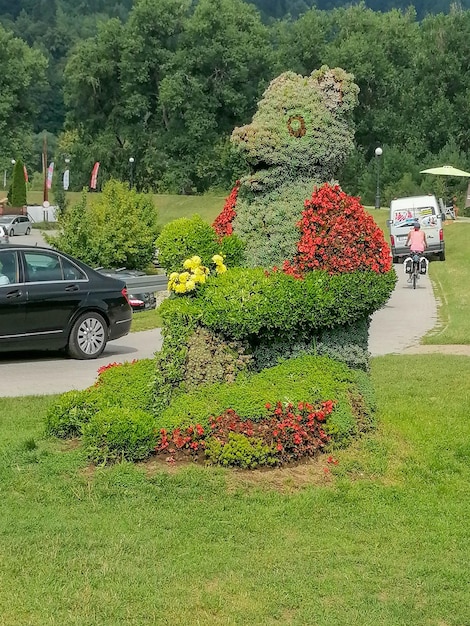 Grüne natürliche Wiese mit Gras und wunderschönem Himmel