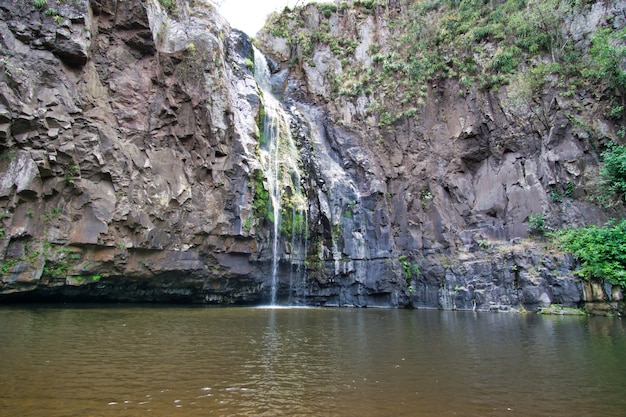 Grüne Natur mit grüner Wasserfalllandschaft - Ansicht von unten