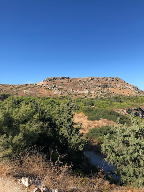 Grüne Natur und blaue Himmelslandschaft