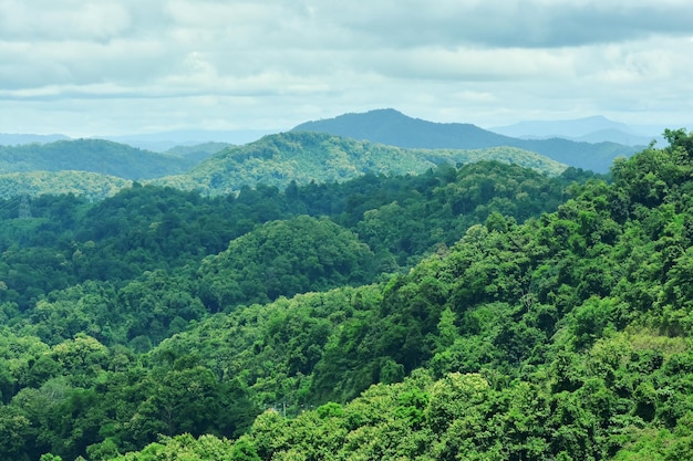 Grüne Natur