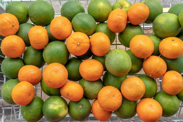 Grüne Orangen und orange Mandarinen in einem Metallkorb zum Verkauf auf einem Straßenmarkt in der Stadt Singapur, Nahaufnahme