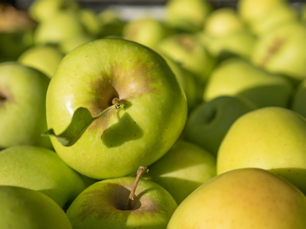 Grüne Äpfel in der vollen Ernte in einem Korb