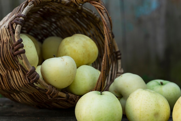 Grüne Äpfel verstreut aus einem Weidenkorb auf einem Holztisch. Frische Herbsternte. Gesundheit und Vitamine aus der Natur. Nahaufnahme.