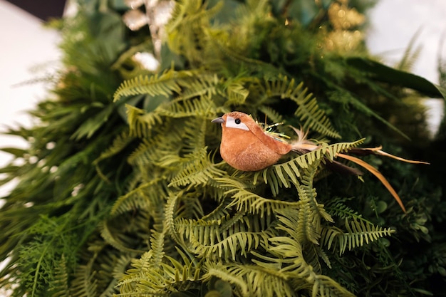 Grüne Pflanzen an der Wand im Inneren des Zimmers. Vertikaler grüner Garten in einem Raum mit einem sitzenden Vogel auf dem Laub