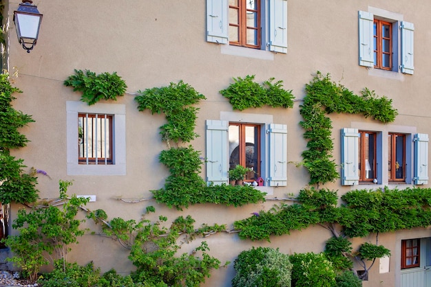 Grüne Reben auf einem Yvoire-Haus mit malerischen Fensterläden