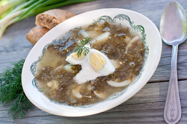 Foto grüne sauerelsuppe