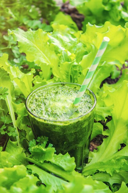 Grüne Smoothies mit Gemüse und Früchten. Detox Day. Abnehmen und Ausscheiden von Schlacke. Gesundes Essen. Selektiver Fokus