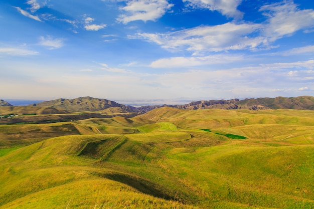 Grüne Sommer blühende Hügel vor dem Hintergrund der Berge und des Himmels