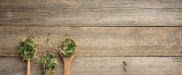 Grüne Sprossen von Chia, Rucola und Senf in einem Holzlöffel auf einer grauen Oberfläche aus alten grauen Brettern, Draufsicht. Nützliche Ergänzung für Lebensmittel mit Vitamin C, E und K, Textfreiraum