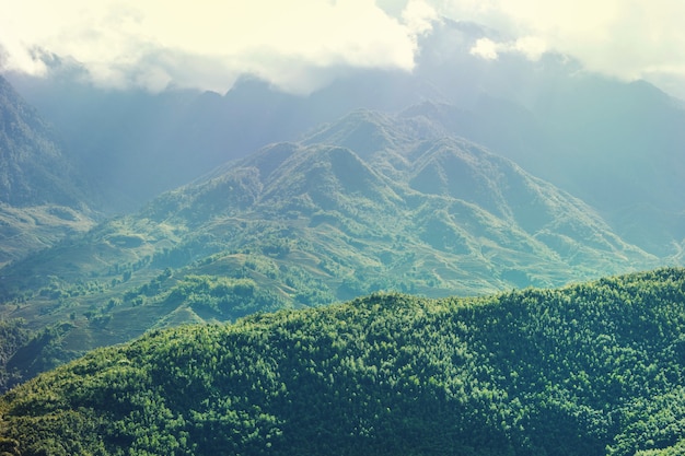 Grüne steile Berge in Vietnam