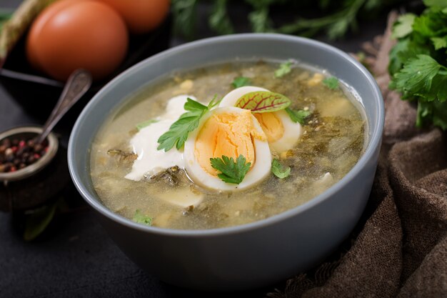 Grüne Suppe des Sauerampfers in der blauen Schüssel.