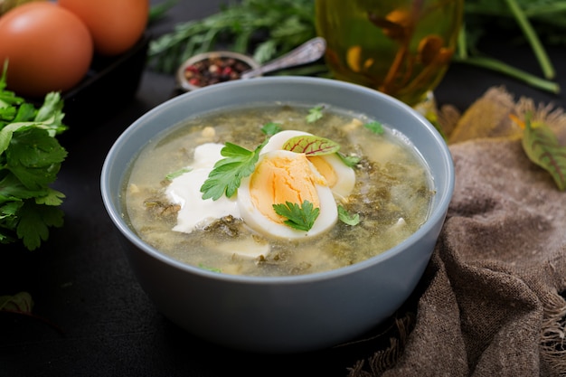 Grüne Suppe des Sauerampfers in der blauen Schüssel.