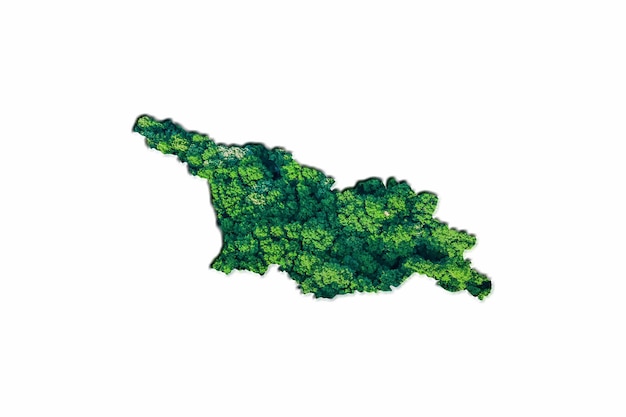 Grüne Waldkarte von Georgia, auf weißem Hintergrund