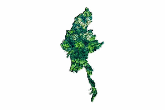Grüne Waldkarte von Myanmar, auf weißem Hintergrund