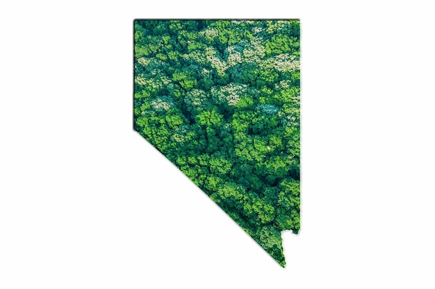 Grüne Waldkarte von Nevada, auf weißem Hintergrund