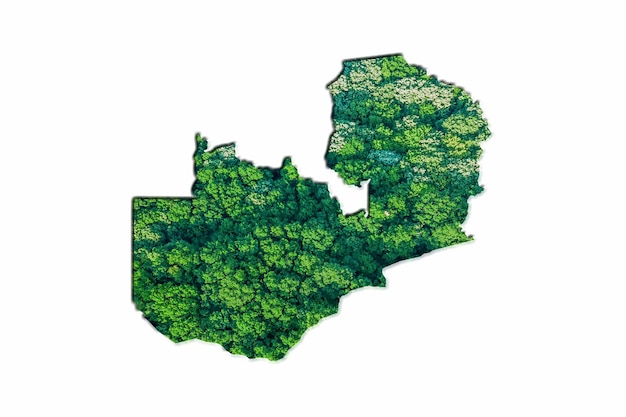 Grüne Waldkarte von Sambia, auf weißem Hintergrund