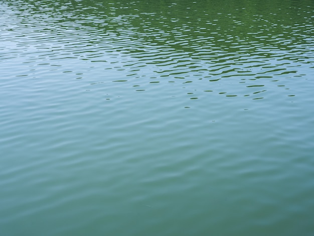 grüne Wasserwellen am Sonnentag