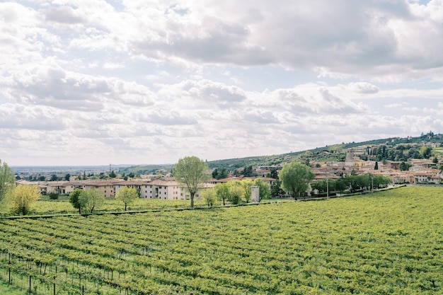 Grüne Weinberge in der Nähe einer alten Siedlung Verona Italien