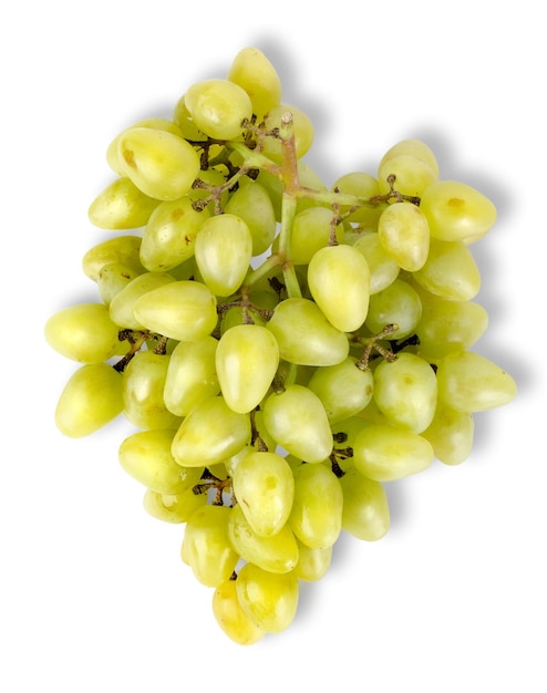Grüne Weintrauben isoliert auf weißem Hintergrund