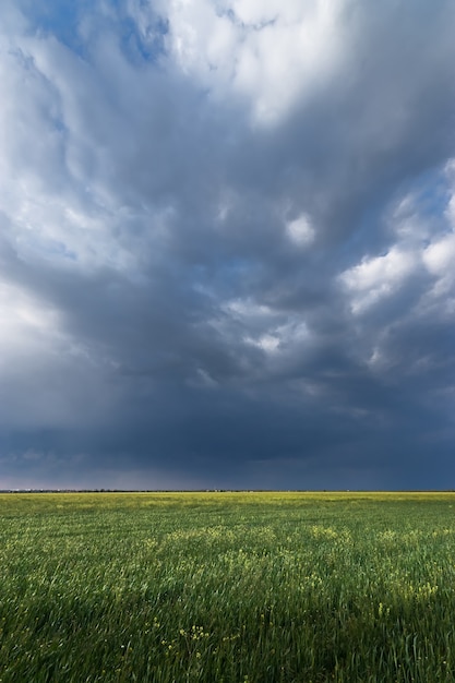 Grüne Weizenfeldlandschaft, Landschaftsfeld außerhalb der Stadtlandwirtschaft