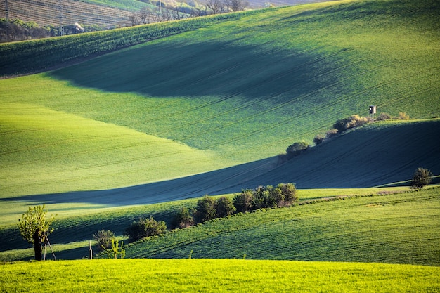 Grüne Wellenfelder mit Jagdturm in Südmähren, Tschechische Republik.