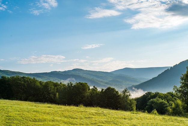 Grüne Wiese auf einem Hintergrund von Berggipfeln im Nebel