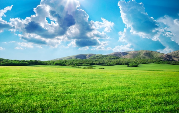 Grüne Wiese im Berg. Zusammensetzung der Natur.