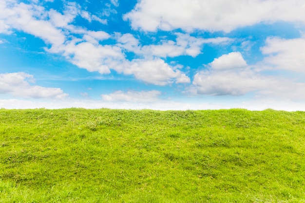 Grüne Wiese mit blauem Himmel