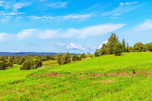 Grüne Wiese und blauer Himmel Heller sonniger Sommertag