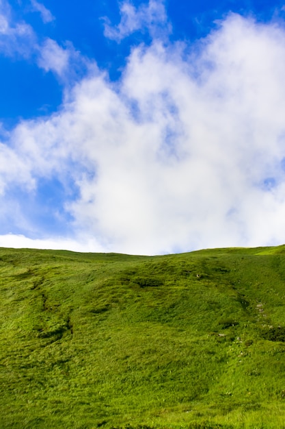 Grüne Wiese und blauer Himmel