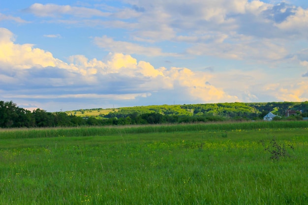 Grüne Wiese und blauer Himmel