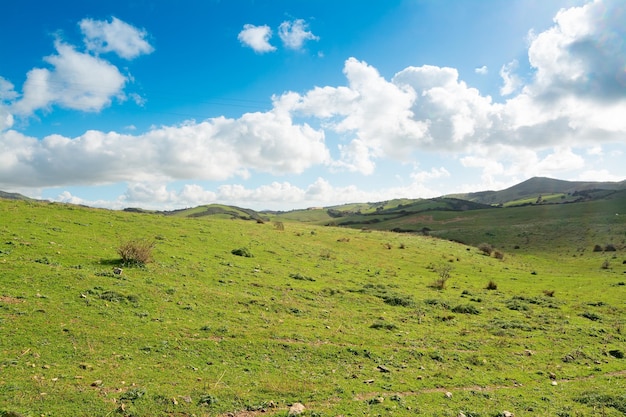 Grüne Wiese und weiße Wolken