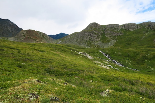 Grüne Wiesen im Tal von 7 Seen. Altai-Gebirge Sibirien. Russland